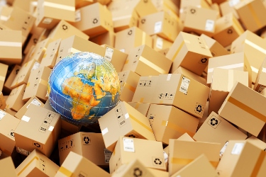 Amazon: Lessons and Success Stories